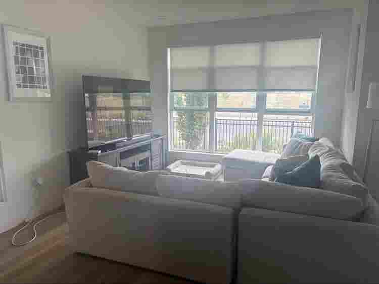 Looking for a roommate clea
