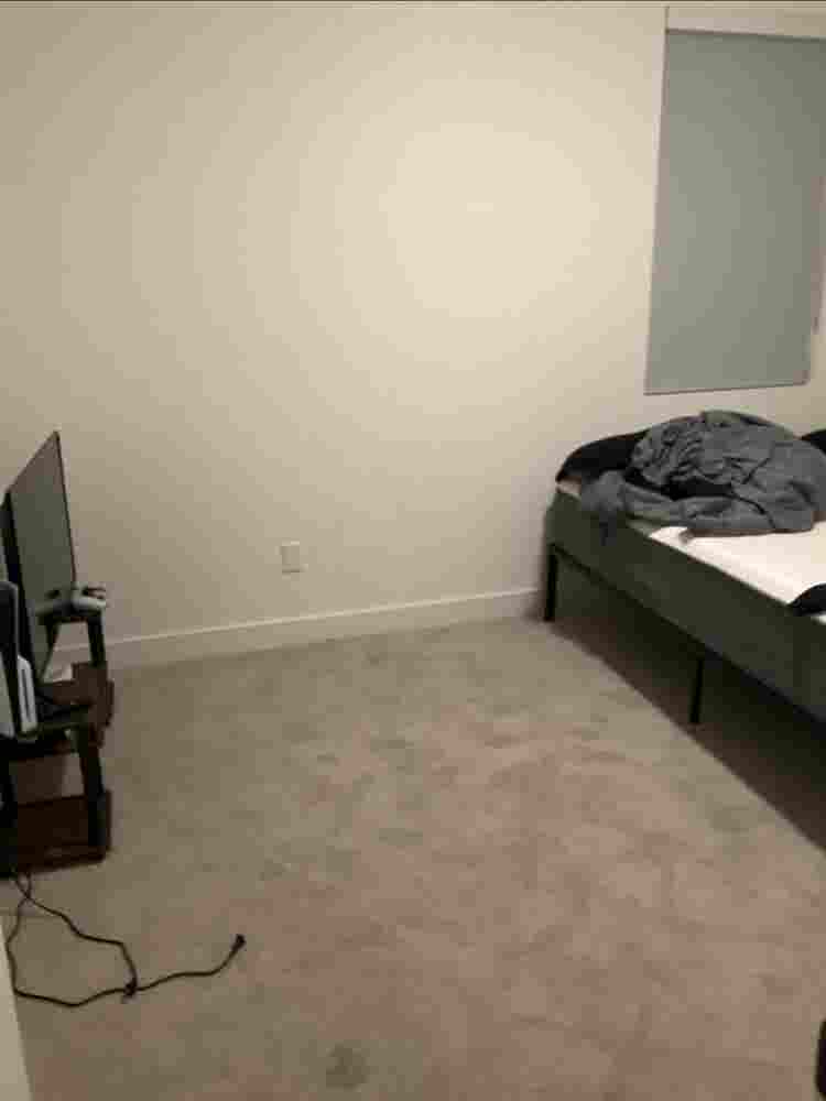 Looking for a roommate clea