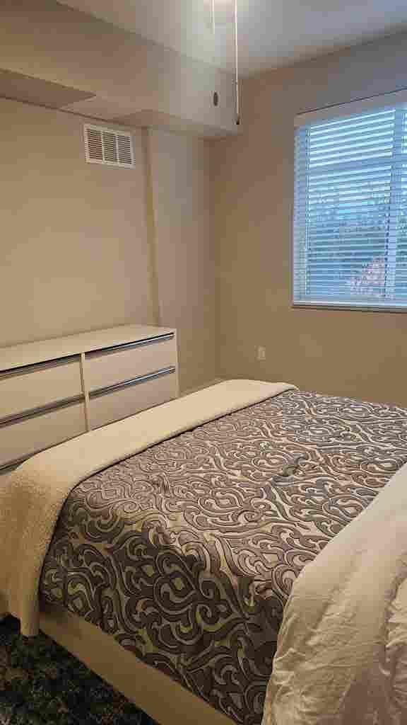 Looking for a roommate