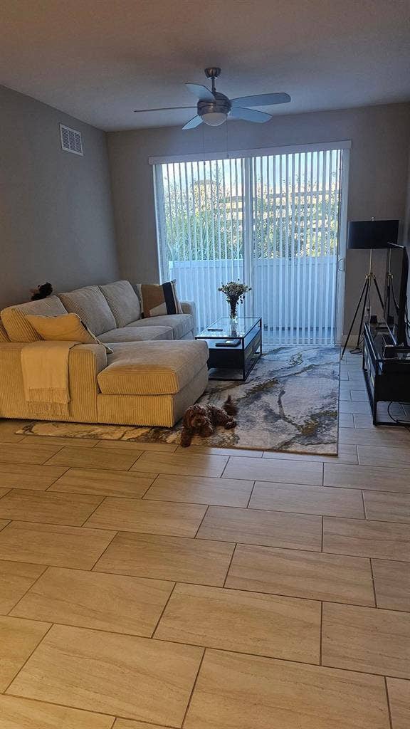 Looking for a roommate