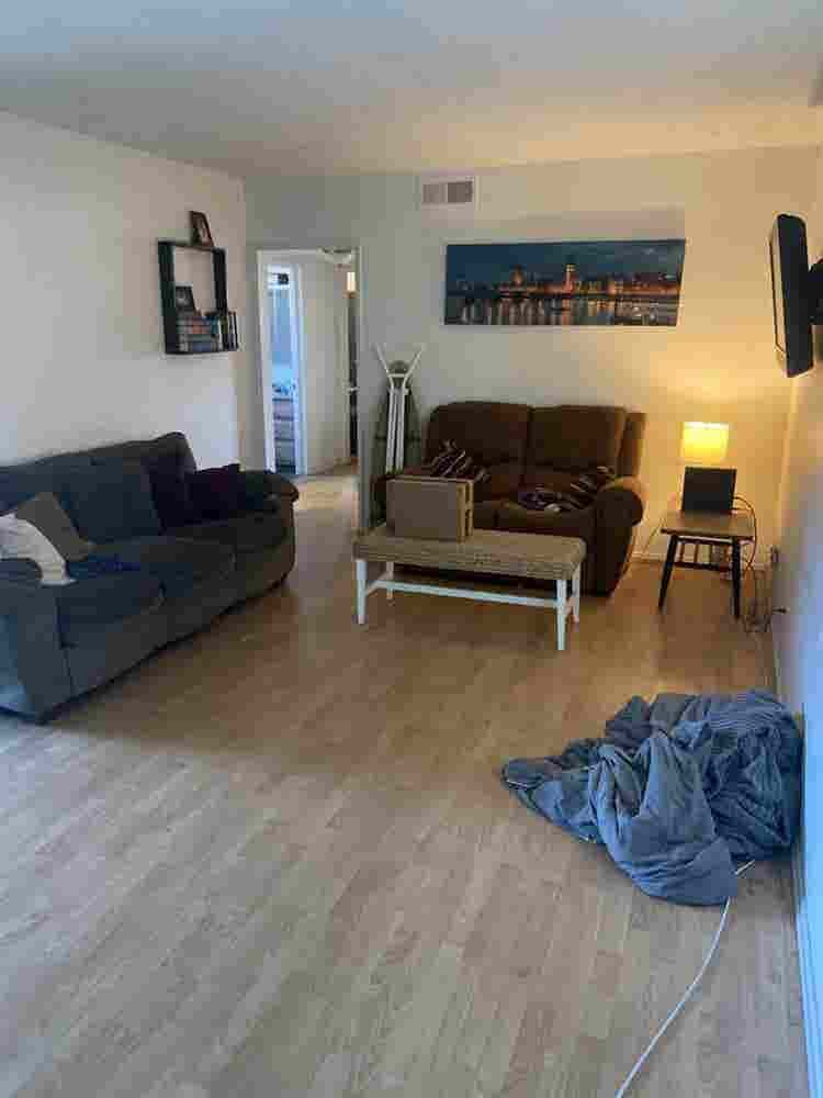 Chill roommate wanted