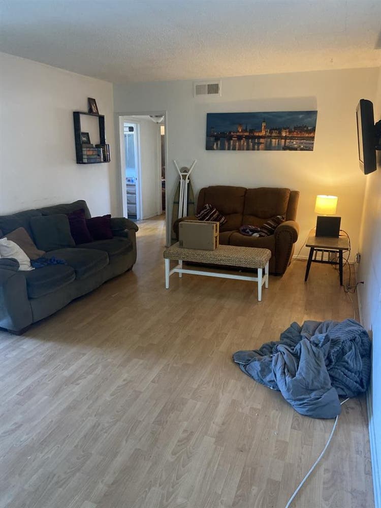 Chill roommate wanted