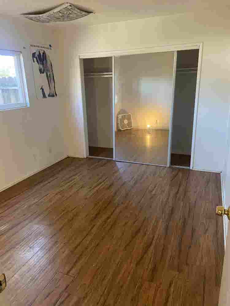 Chill roommate wanted
