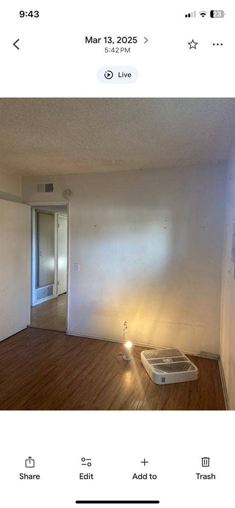Chill roommate wanted