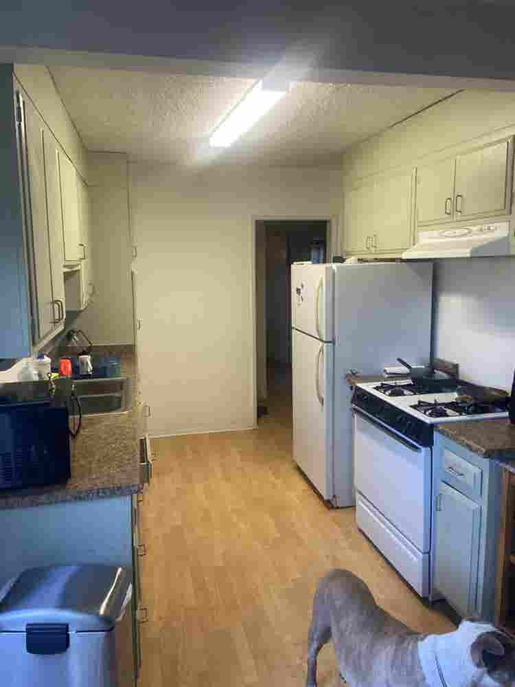 Chill roommate wanted