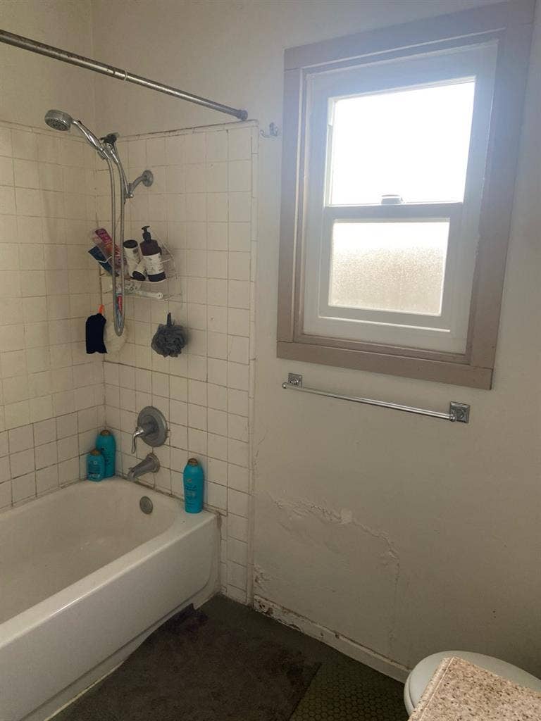 Chill roommate wanted