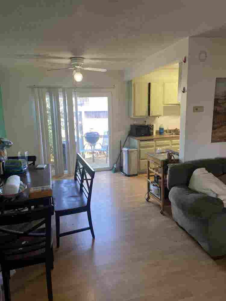 Chill roommate wanted