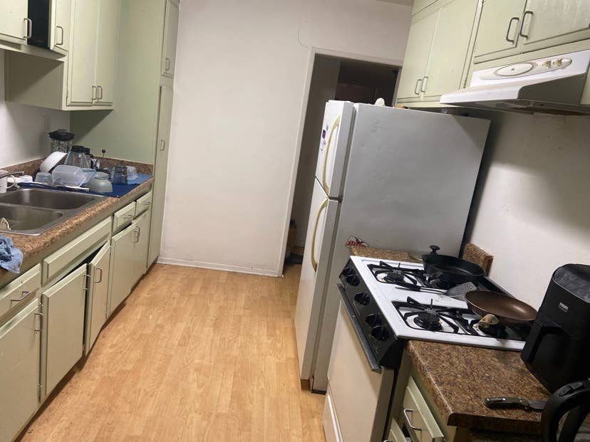 Chill roommate wanted