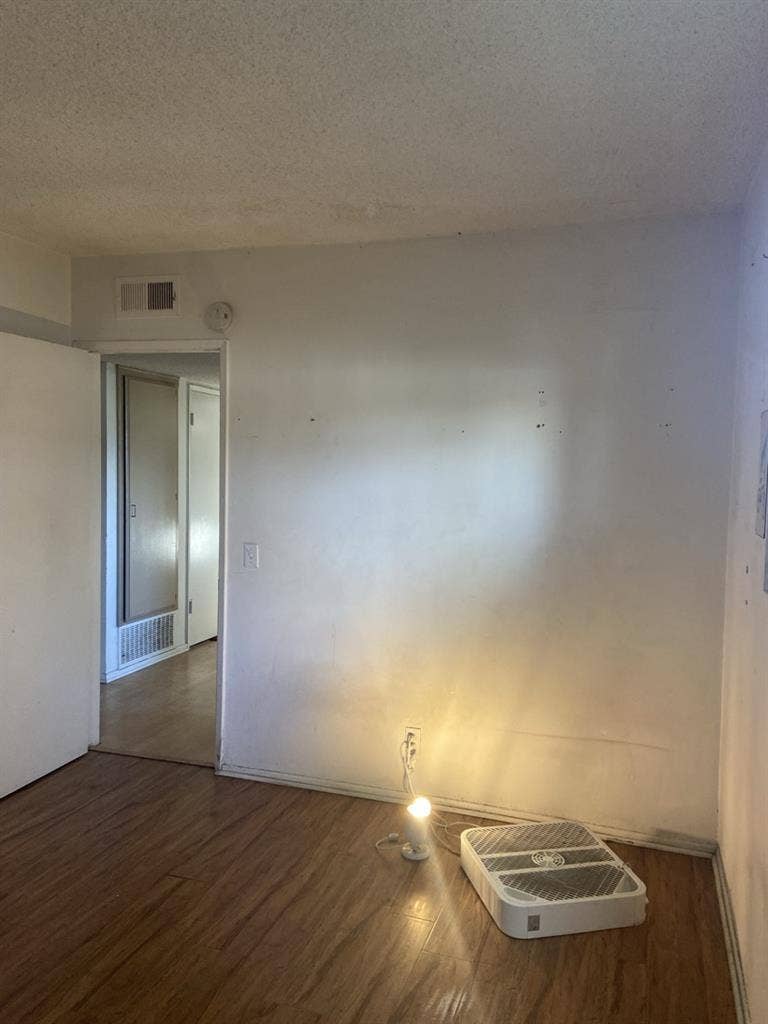 Chill roommate wanted