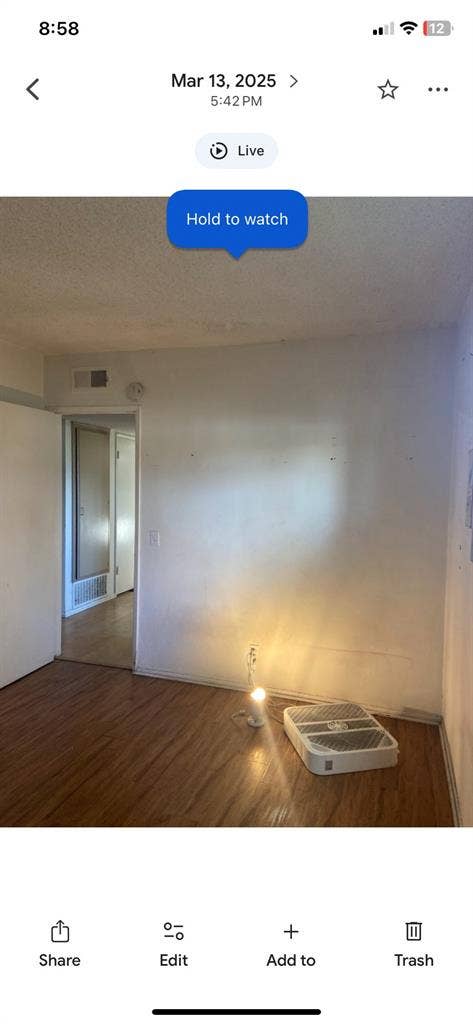 Chill roommate wanted