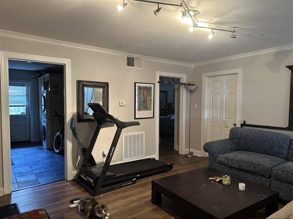 Looking for professional.