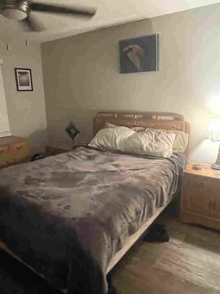 Roommate Wanted For October