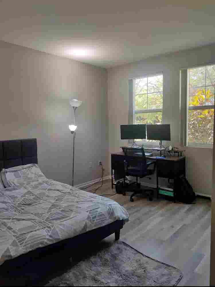 Great Apartment Near The Collection