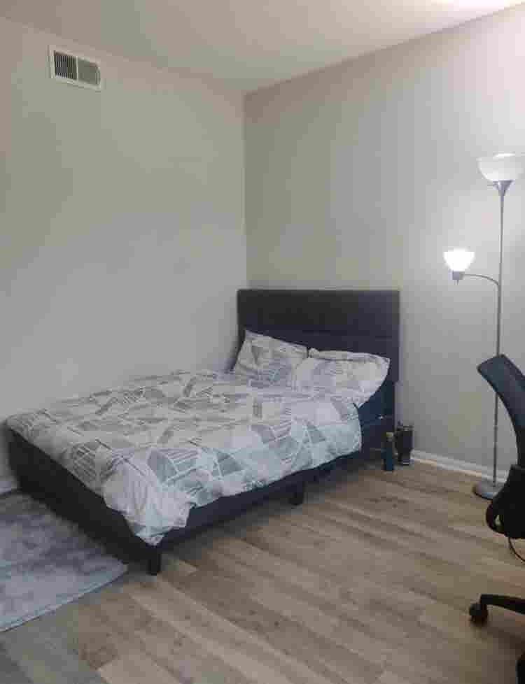Great Apartment Near The Collection