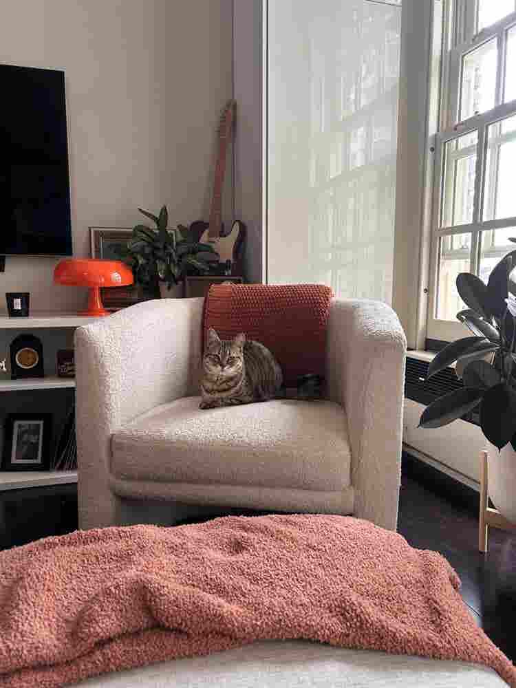 Looking for a roomie for my roomie!
