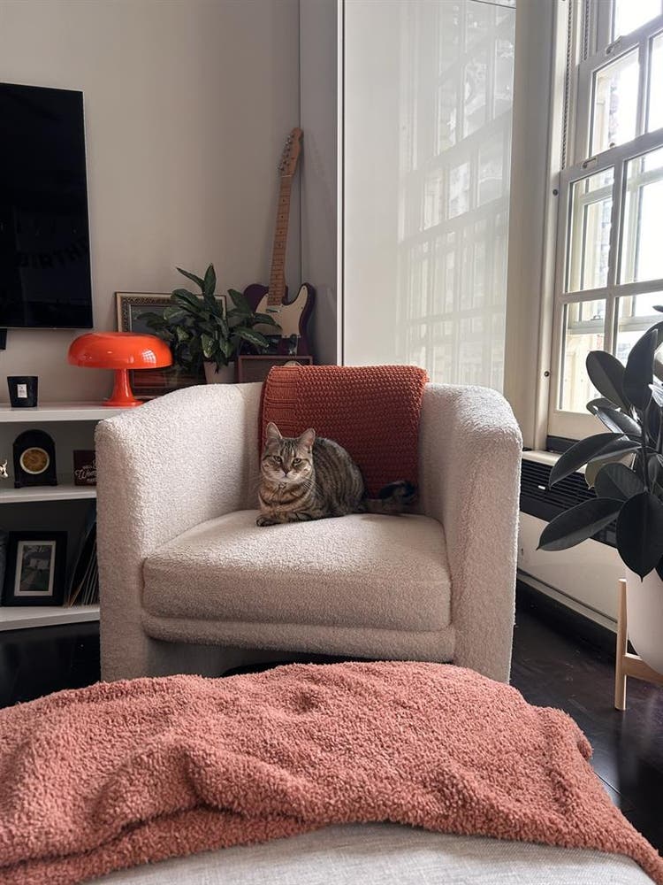 Looking for a roomie for my roomie!