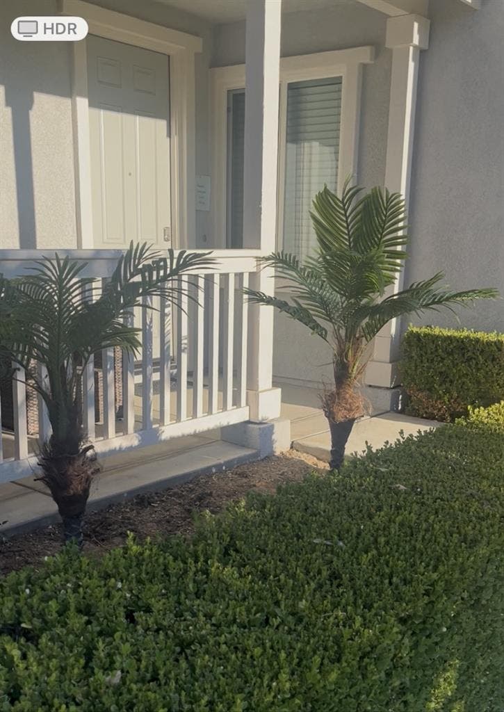 Furnished 2 Bedroom Unit