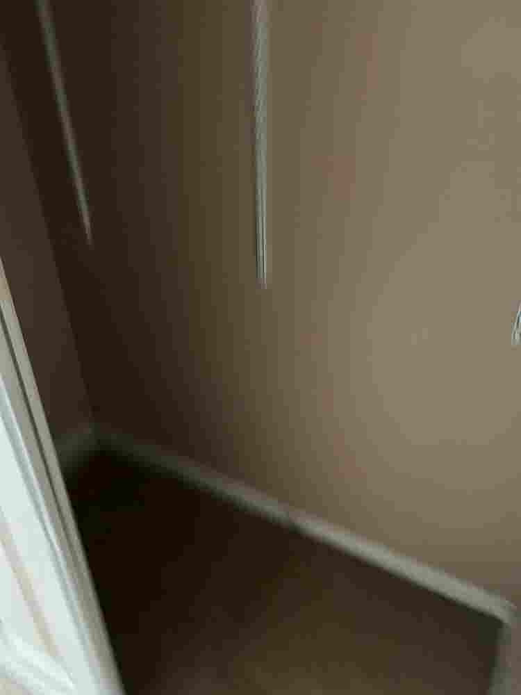 Looking for a roommate
