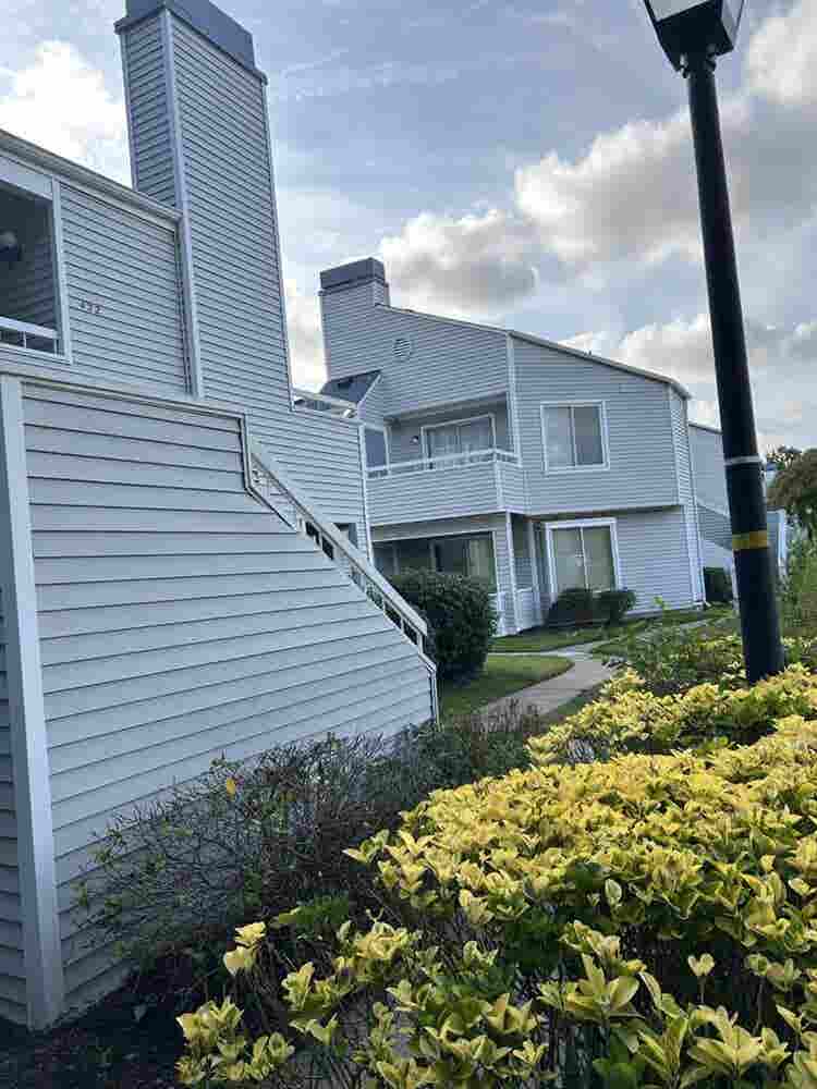 Looking for a roommate