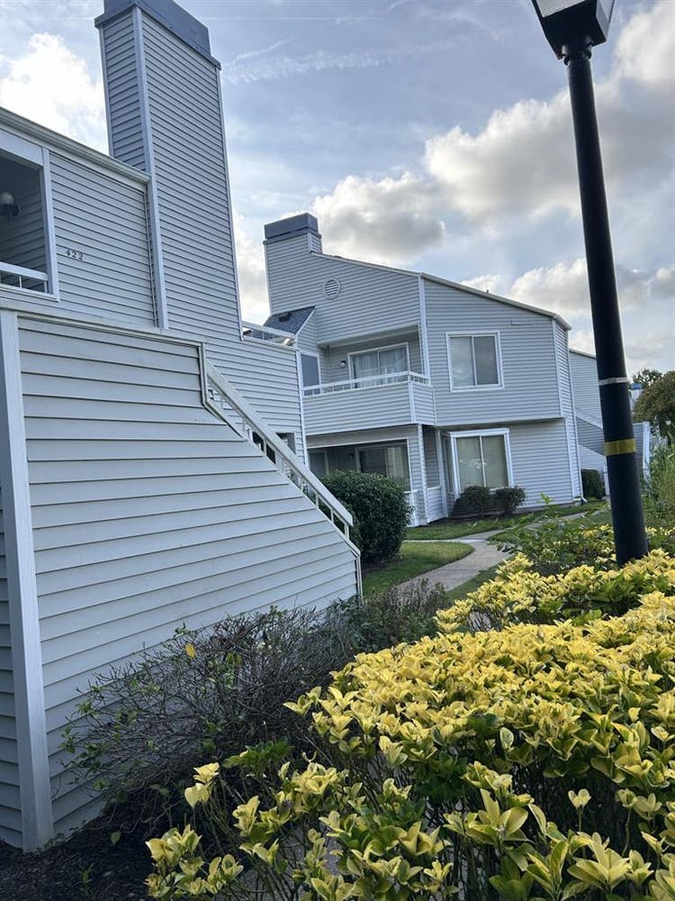 Looking for a roommate