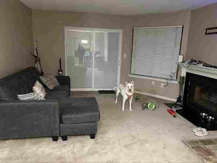 Looking for a roommate