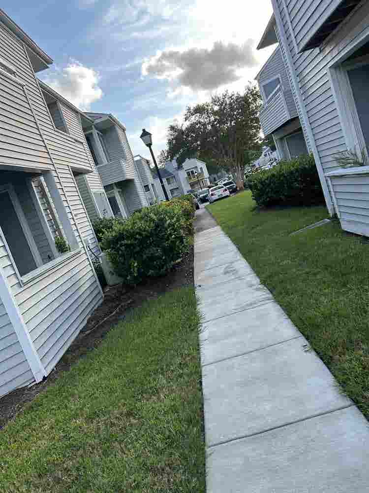 Looking for a roommate