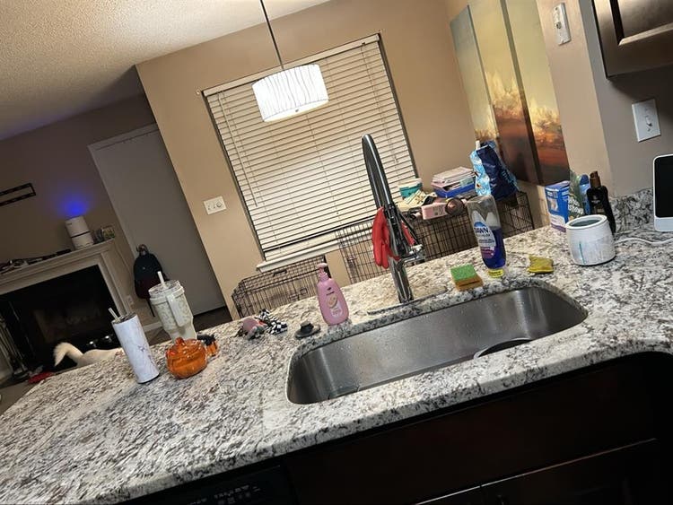 Looking for a roommate