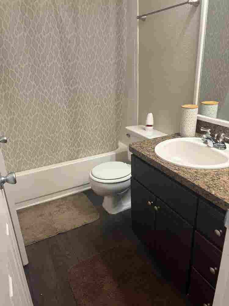 Looking for a roommate