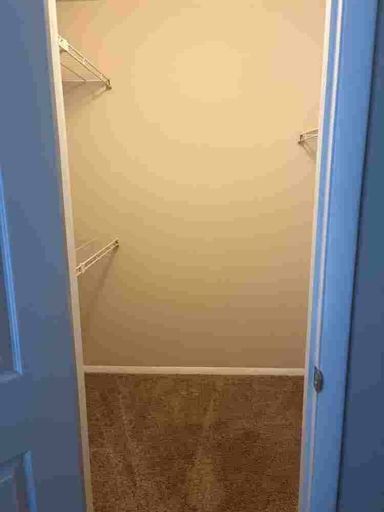 Looking for a roommate