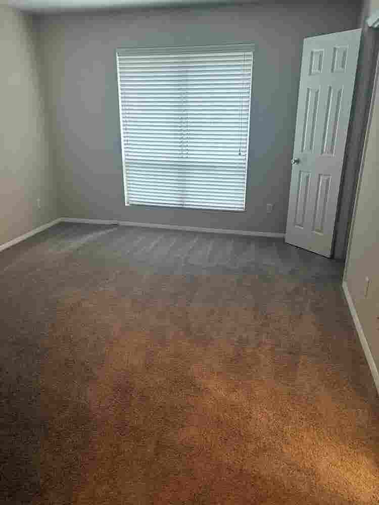 Looking for a roommate