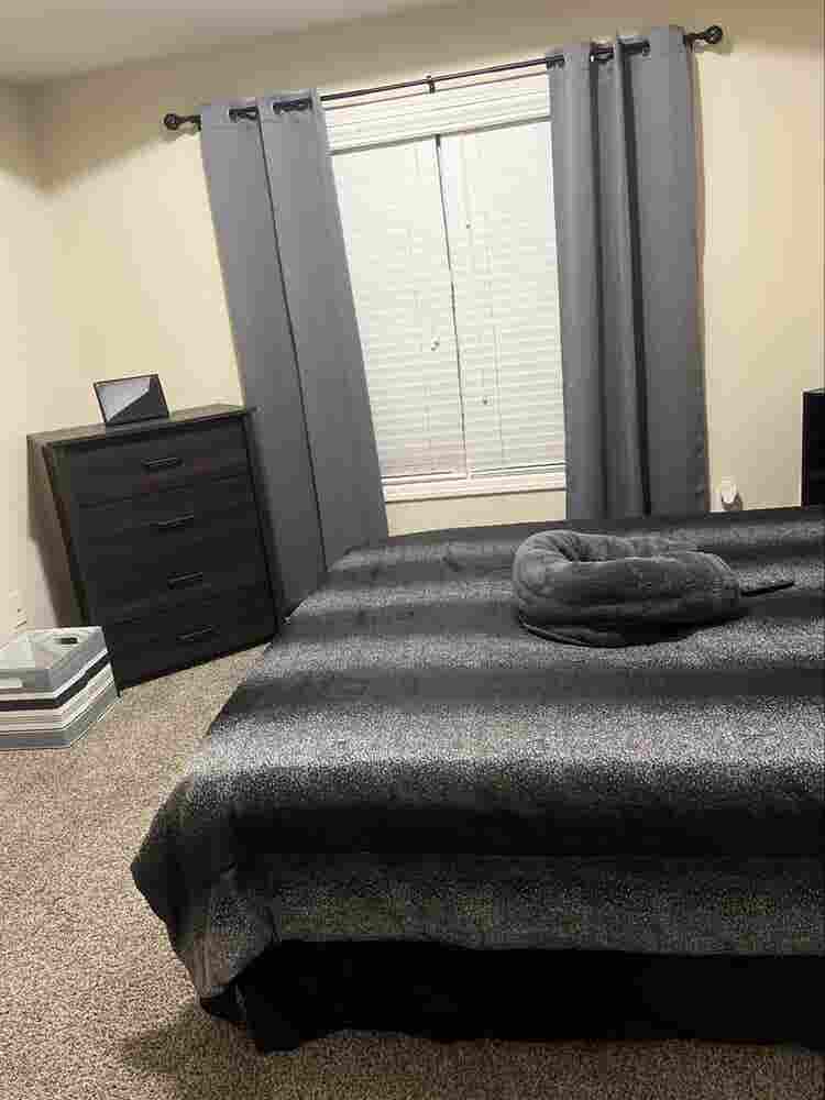 Looking for roommate