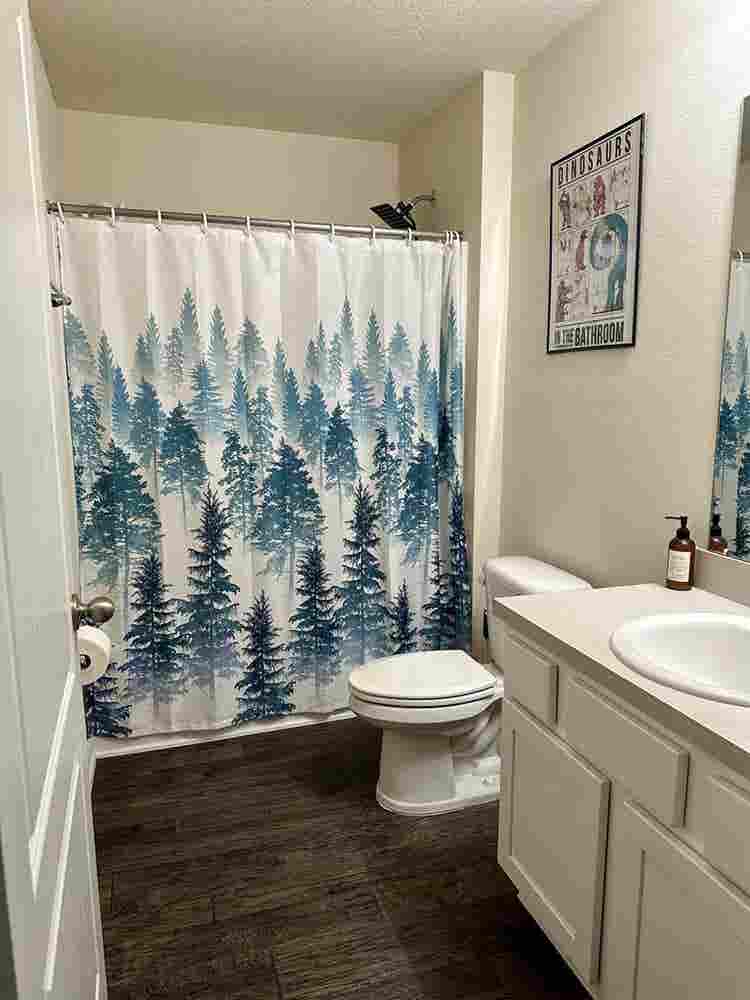Room for rent in Willow Springs