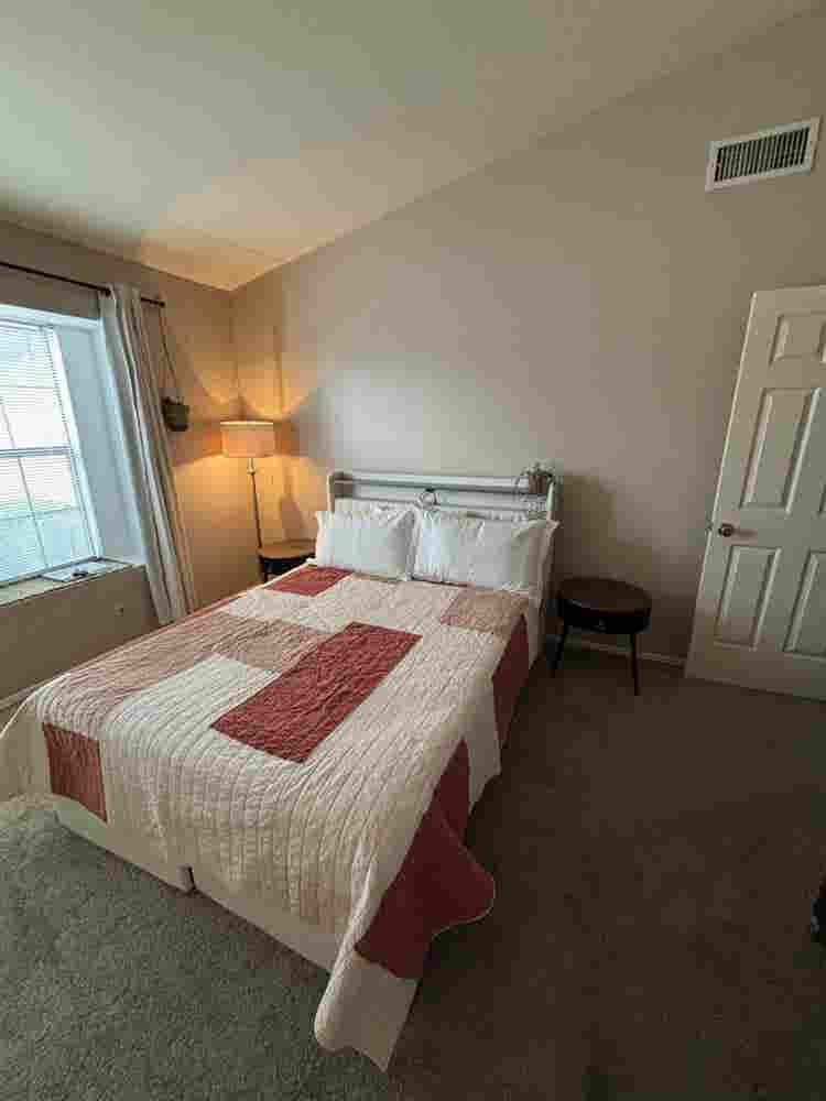 Female Roommate Wanted