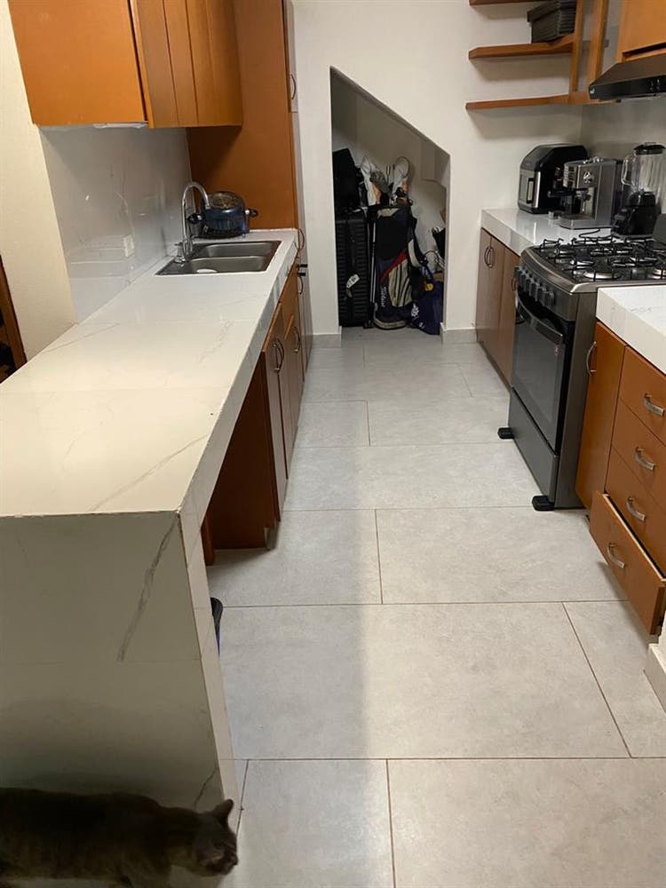 Looking for a roommate