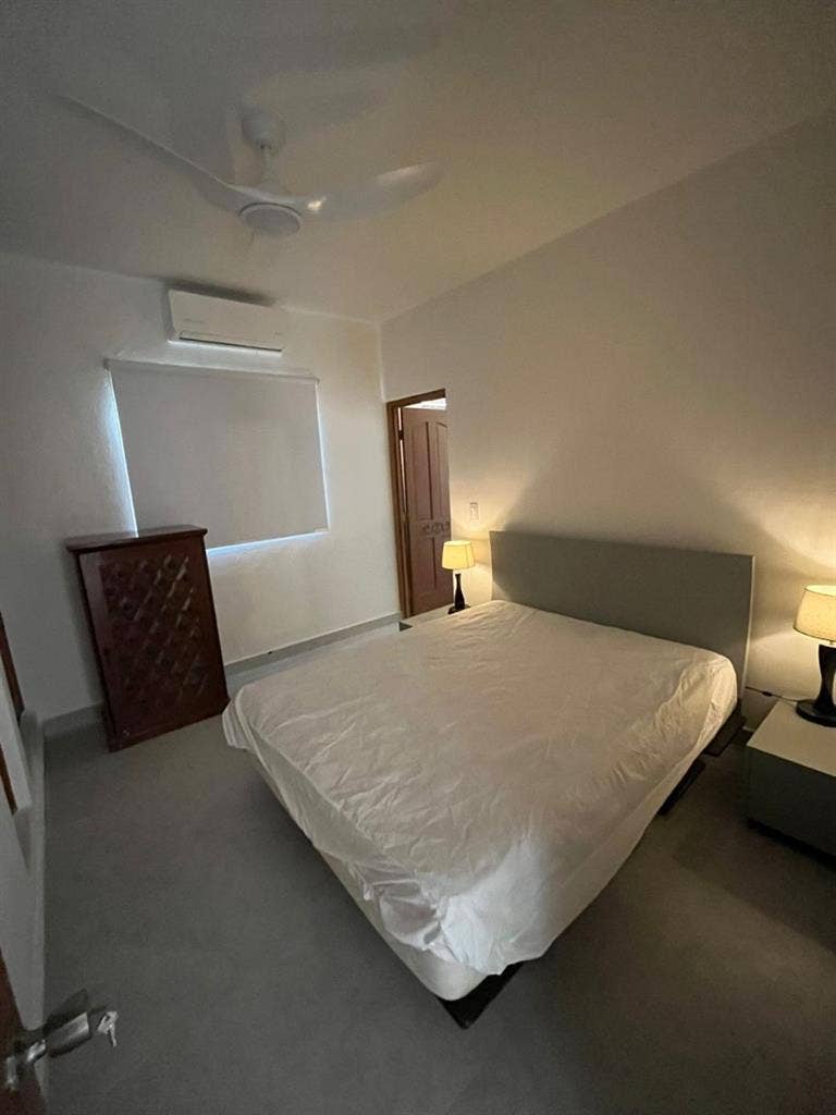 Looking for a roommate