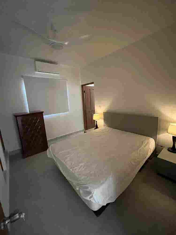Looking for a roommate