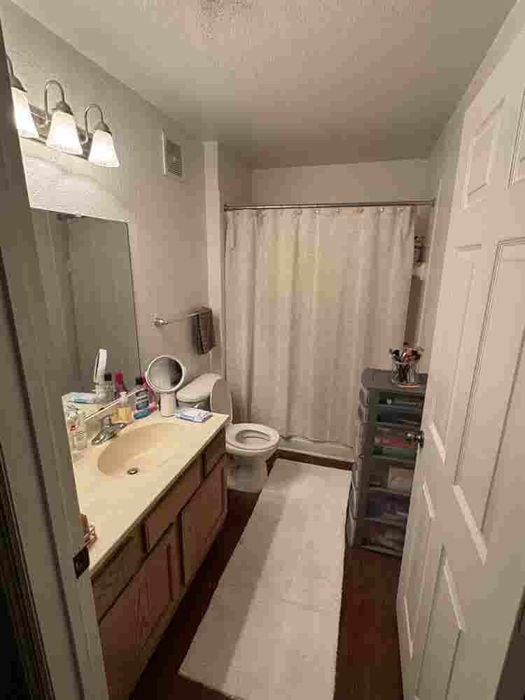 One bedroom in  available