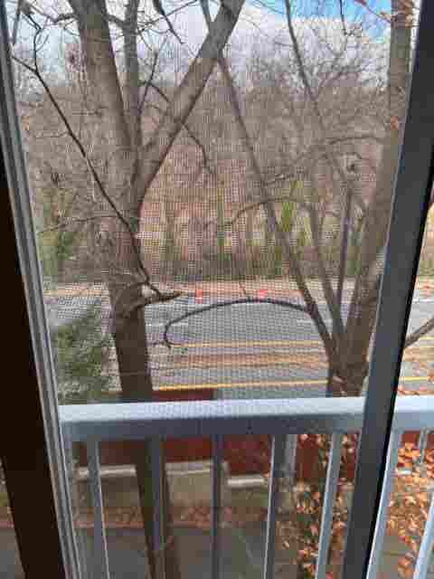 Cozy Room For Rent - Great Location