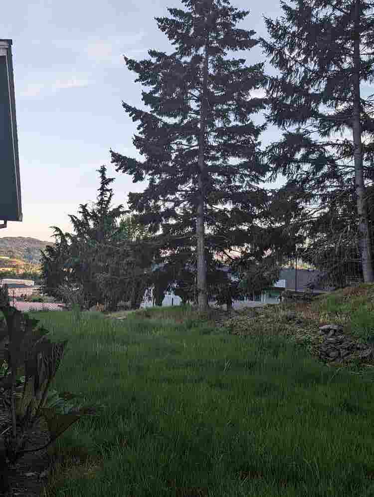 Roommate wanted in 3bed 2ba house