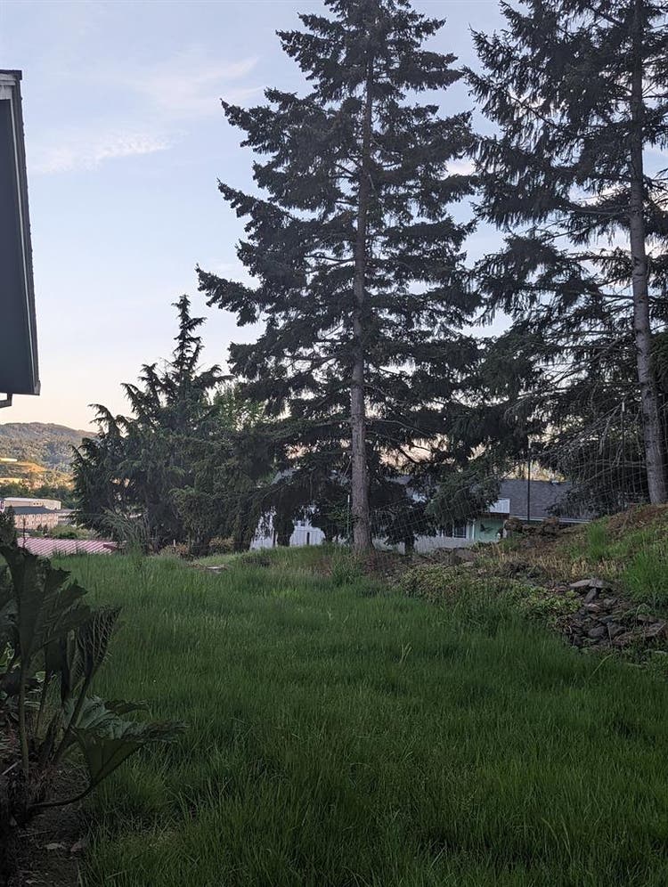 Roommate wanted in ba house