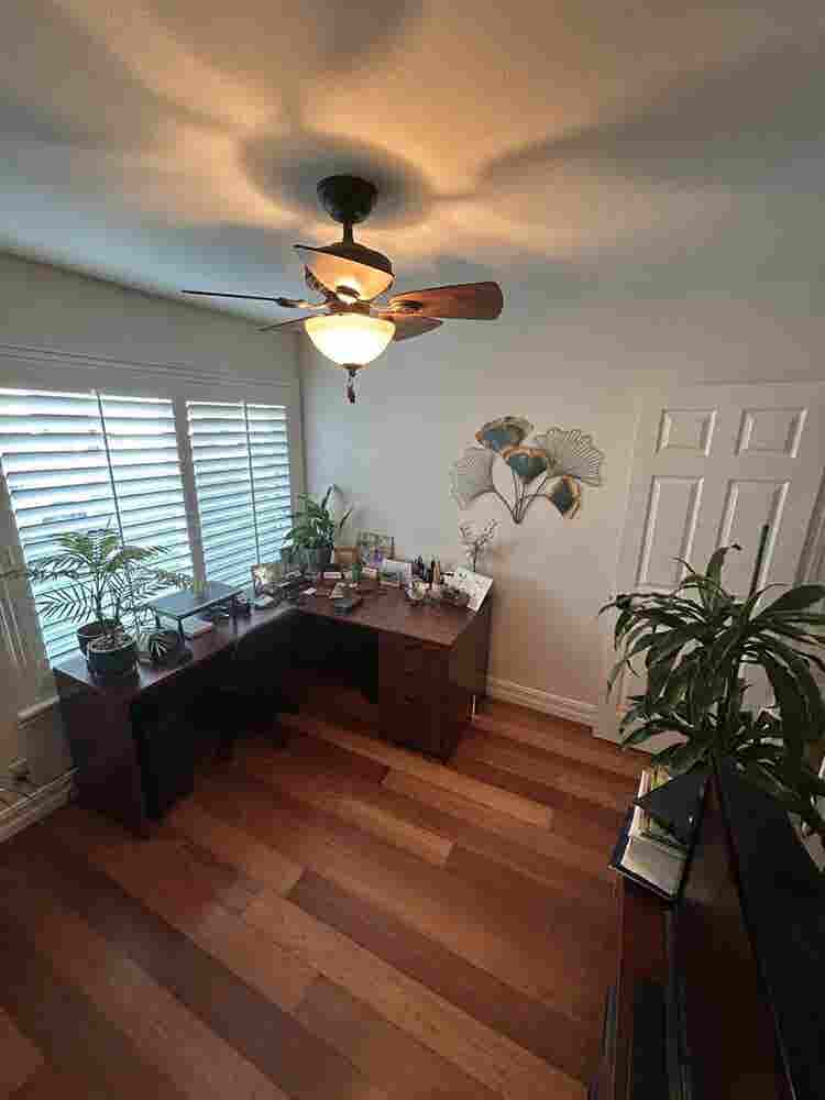 Looking for two female roommates