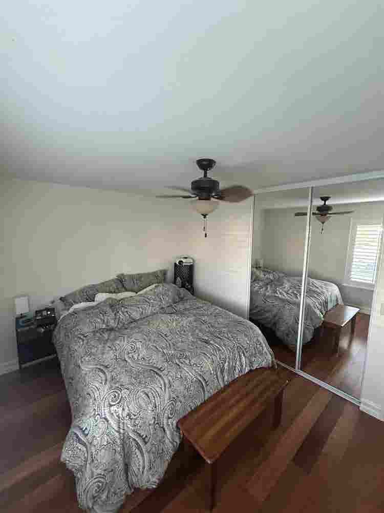 Looking for two female roommates