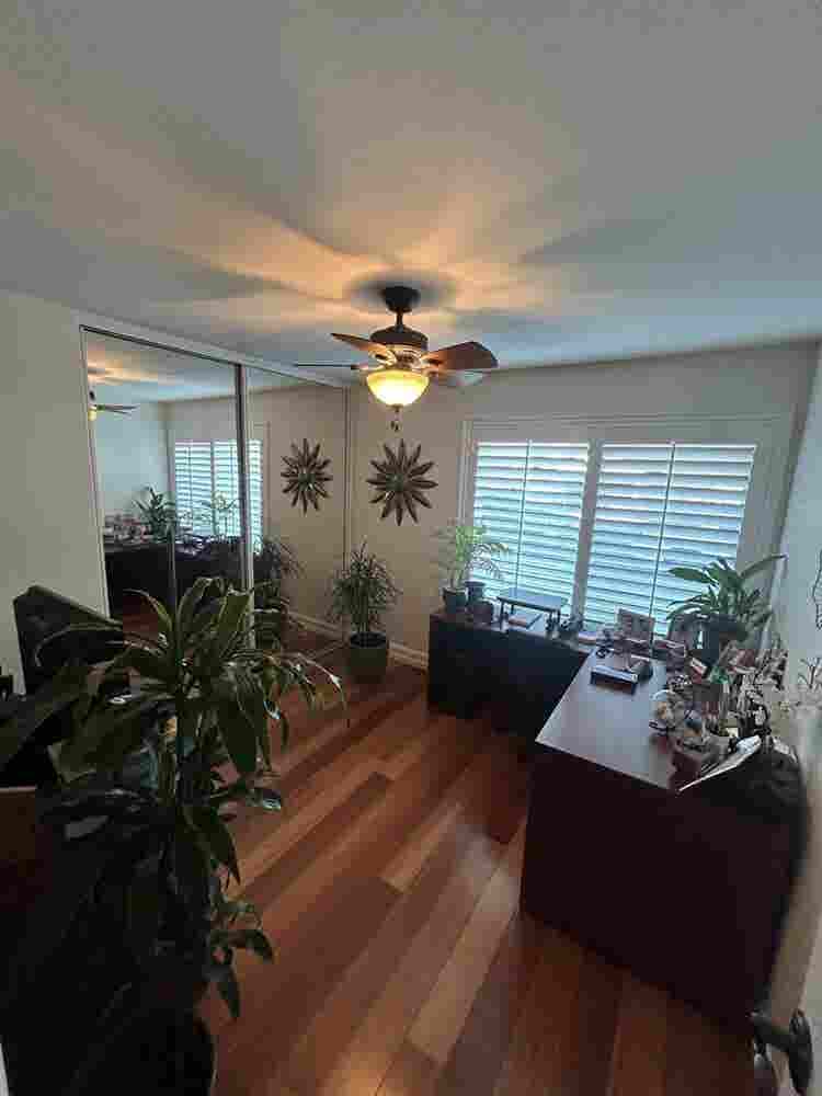 Looking for two female roommates