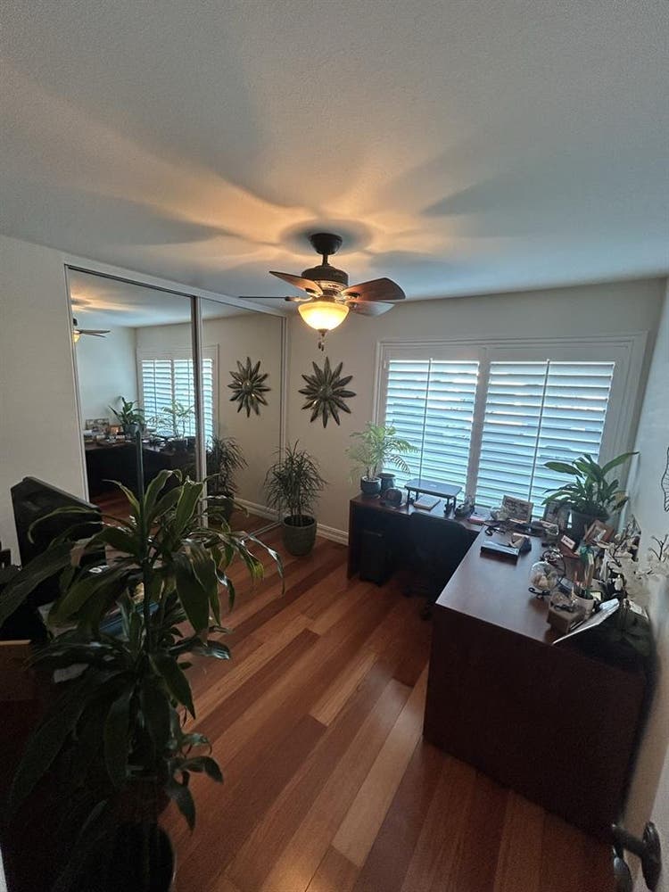 Looking for two female roommates