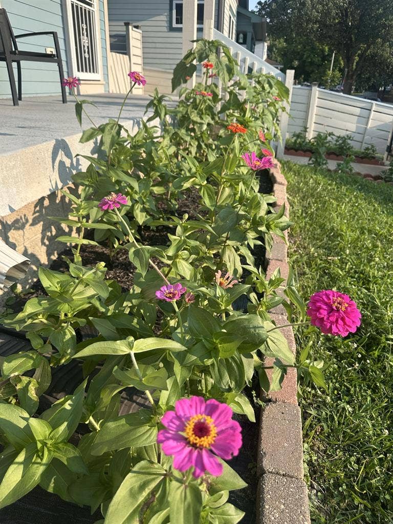 Includes Utilities and fiber in