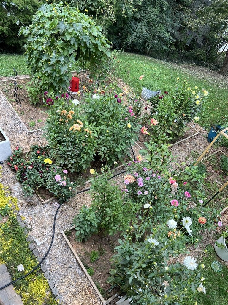 Room available in west avl