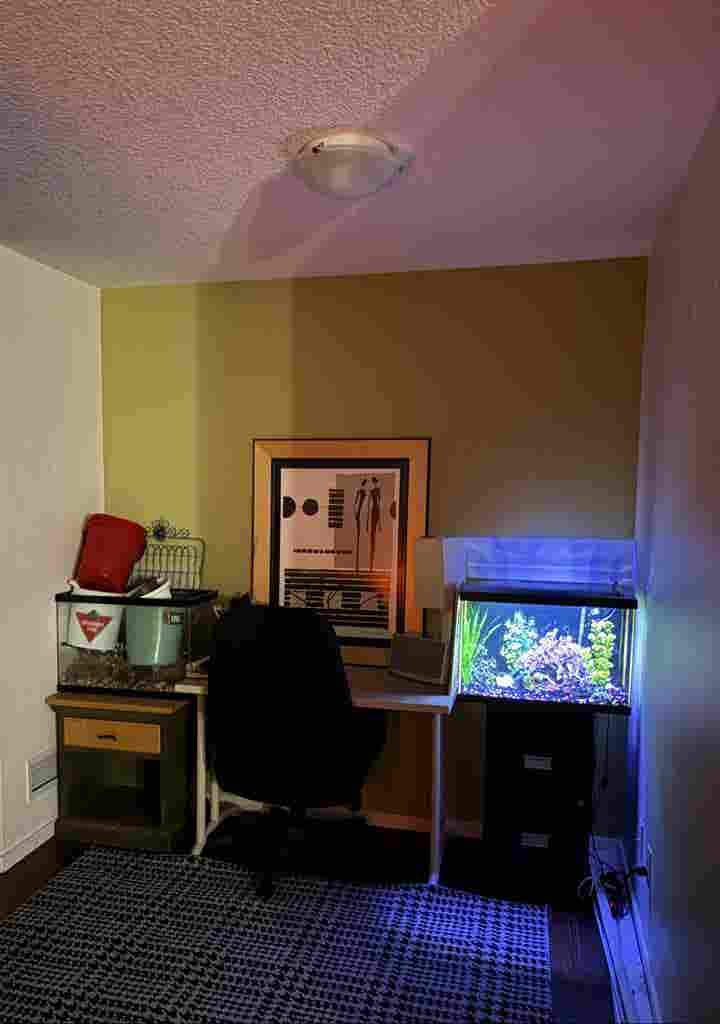 Shared accommodation/master bedroom