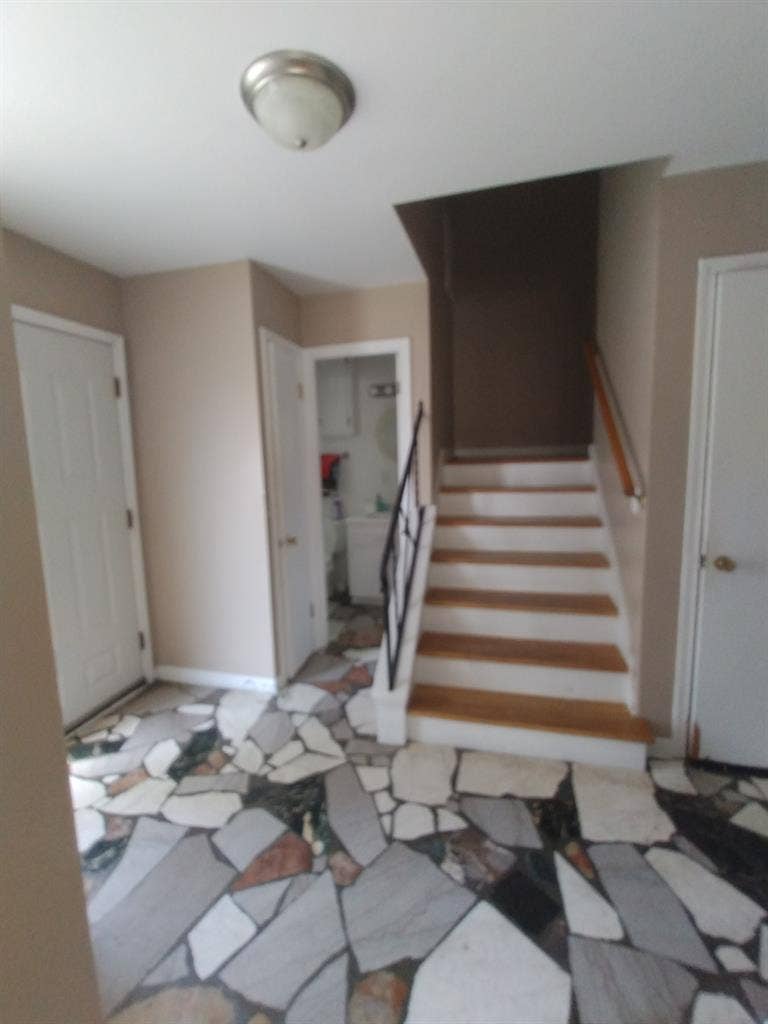 Roommate wanted