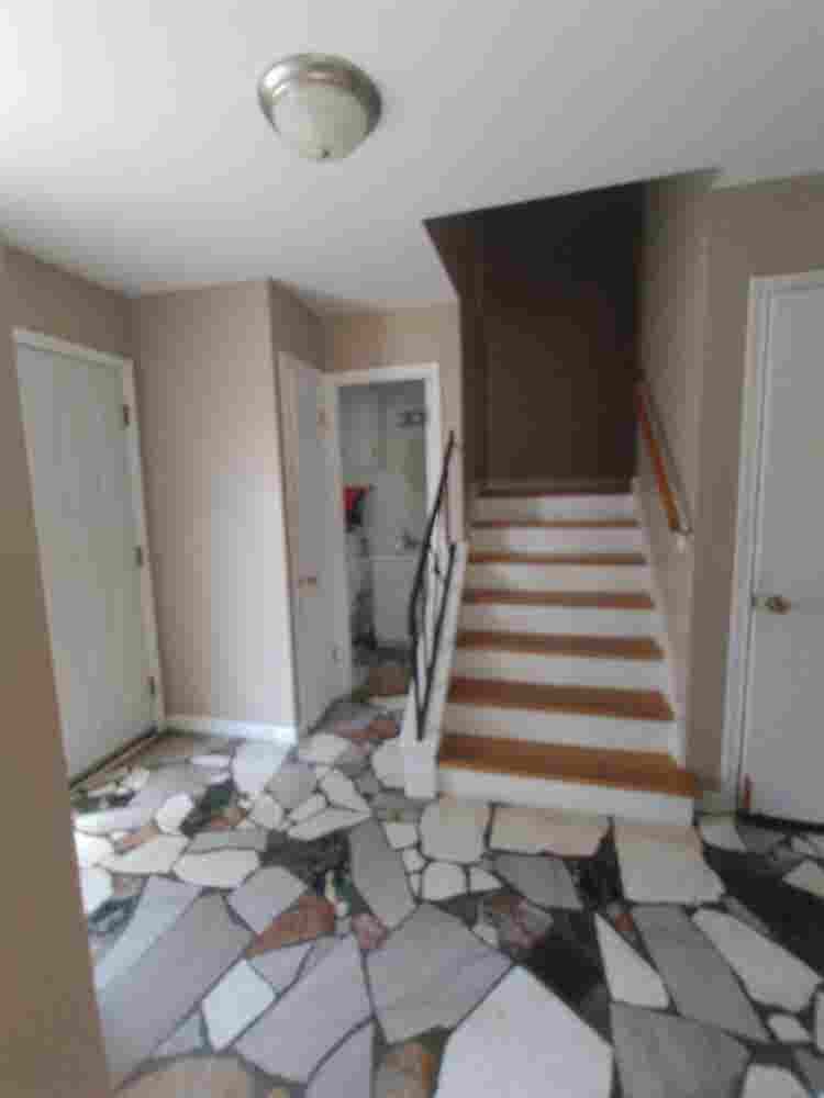 Roommate wanted