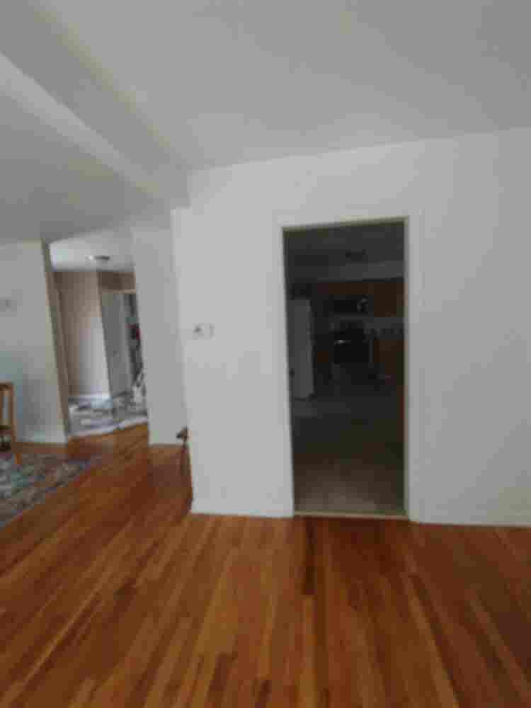 Roommate wanted